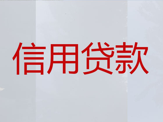 黄石抵押贷款公司-银行信用贷款